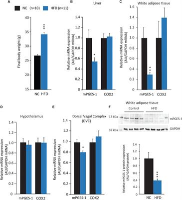 Invalidation of Microsomal Prostaglandin E Synthase-1 (mPGES-1) Reduces Diet-Induced Low-Grade Inflammation and Adiposity